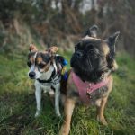 474608406_18070568446782740_7301512060804623680_n