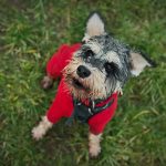 475680640_18071272828782740_407824694392895419_n