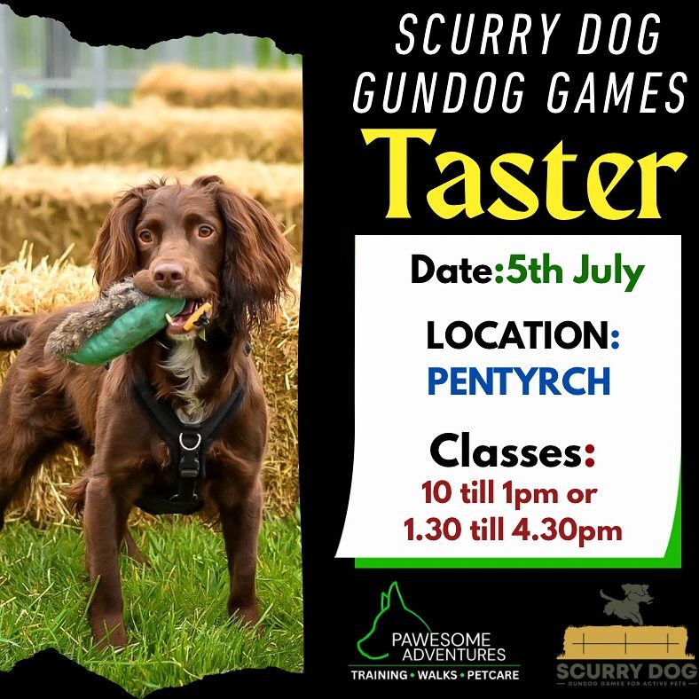 503947790_18083500618782740_1638557945317298978_n