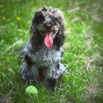 504289772_18083297965782740_3386746735140662096_n