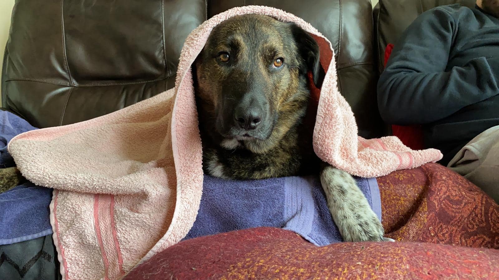 505192355_10238031213826266_3579666280932037847_n