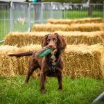 530394570_1918592818860056_1640196834931570255_n