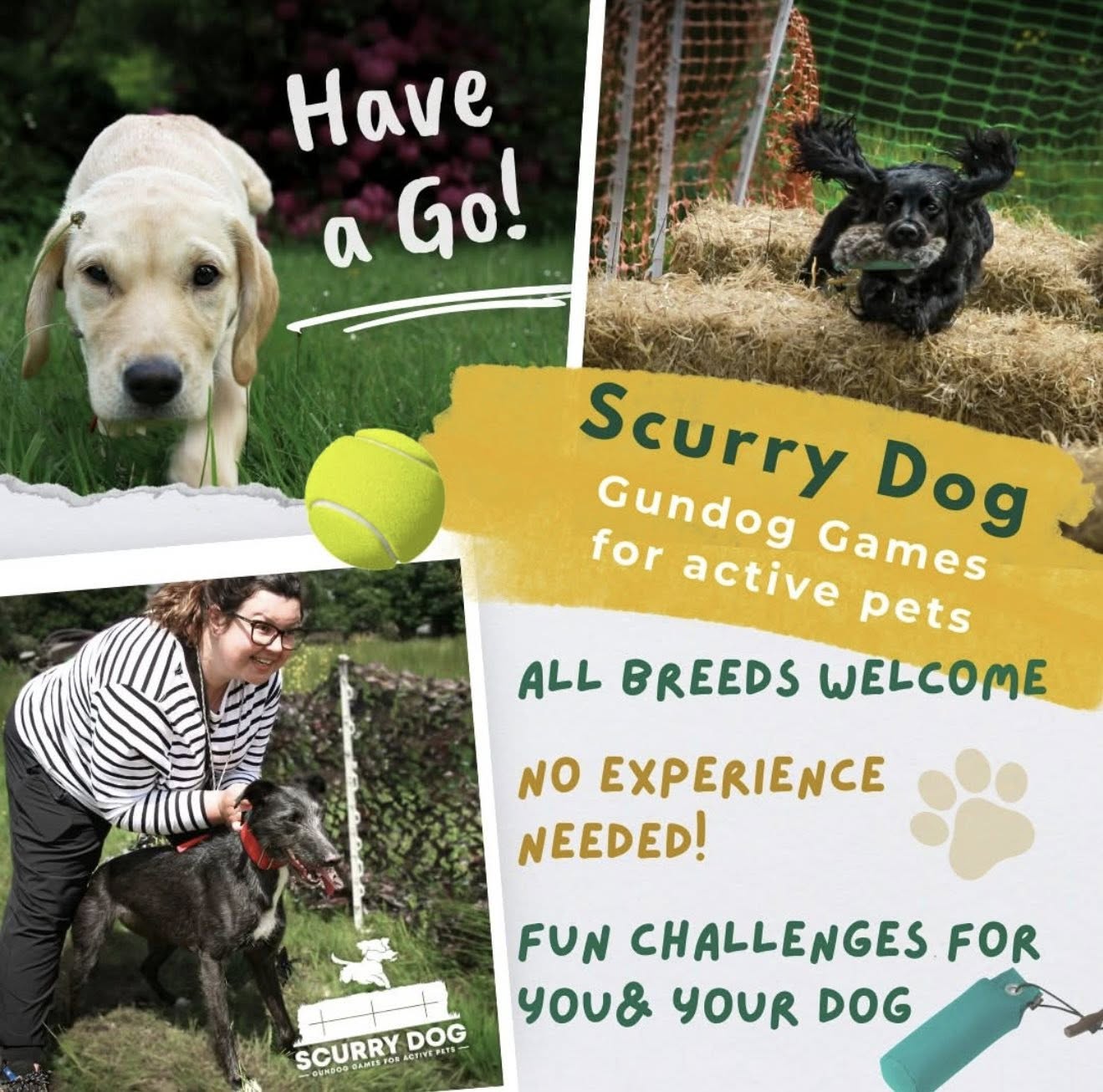 530449046_1918591905526814_5069102558599553702_n