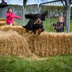 530510122_1918592132193458_6092634889106667837_n