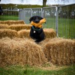 530952192_1918592402193431_7671893492111571097_n