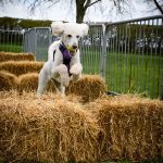 531989273_1918592972193374_3444198956437998901_n