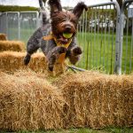 532088460_1918592548860083_8021952730810992452_n 532088460_1918592548860083_8021952730810992452_n