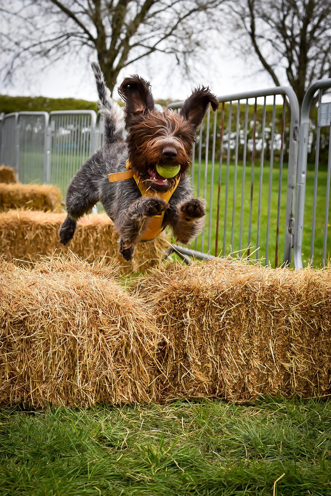 532088460_1918592548860083_8021952730810992452_n