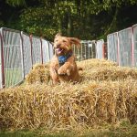 532118433_18090039241782740_7024960523435706438_n