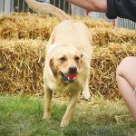 532564636_18090039178782740_1533559466707309986_n