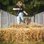 534134854_18090039214782740_8068195119050050080_n