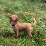 539761277_18091146322782740_4099082028818073622_n