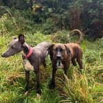 539761277_18091146352782740_4673084279230443179_n