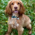 540387831_18091279441782740_2650256866470574322_n