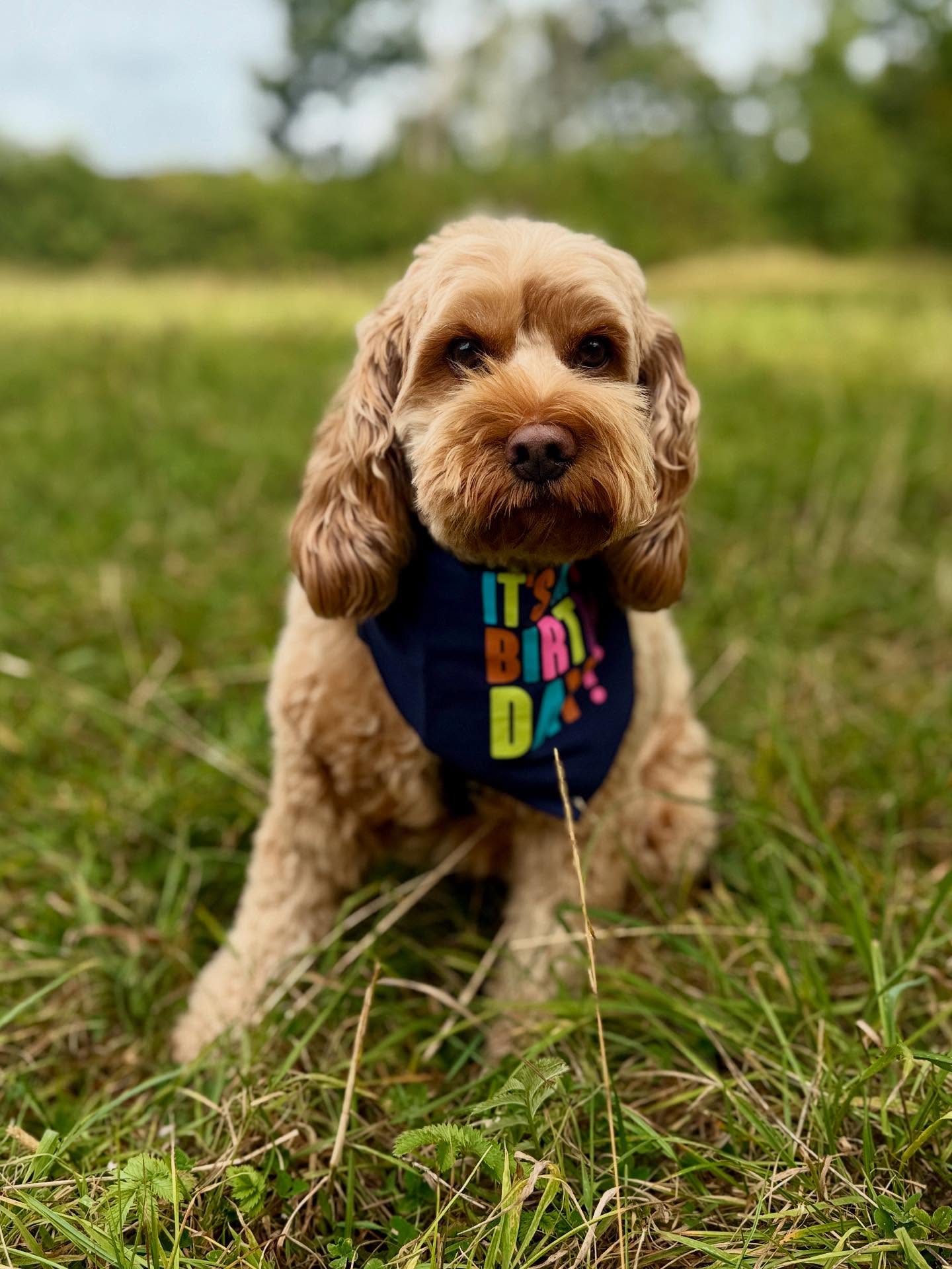 540403946_18091279633782740_1658526190453235531_n