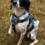 541091298_18091146832782740_8579124050703923501_n