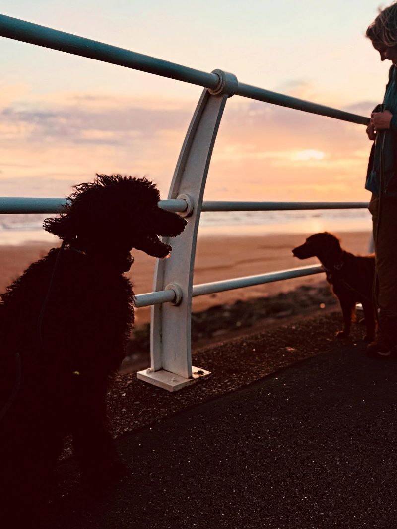 541952178_18091831588782740_8503865328493611522_n