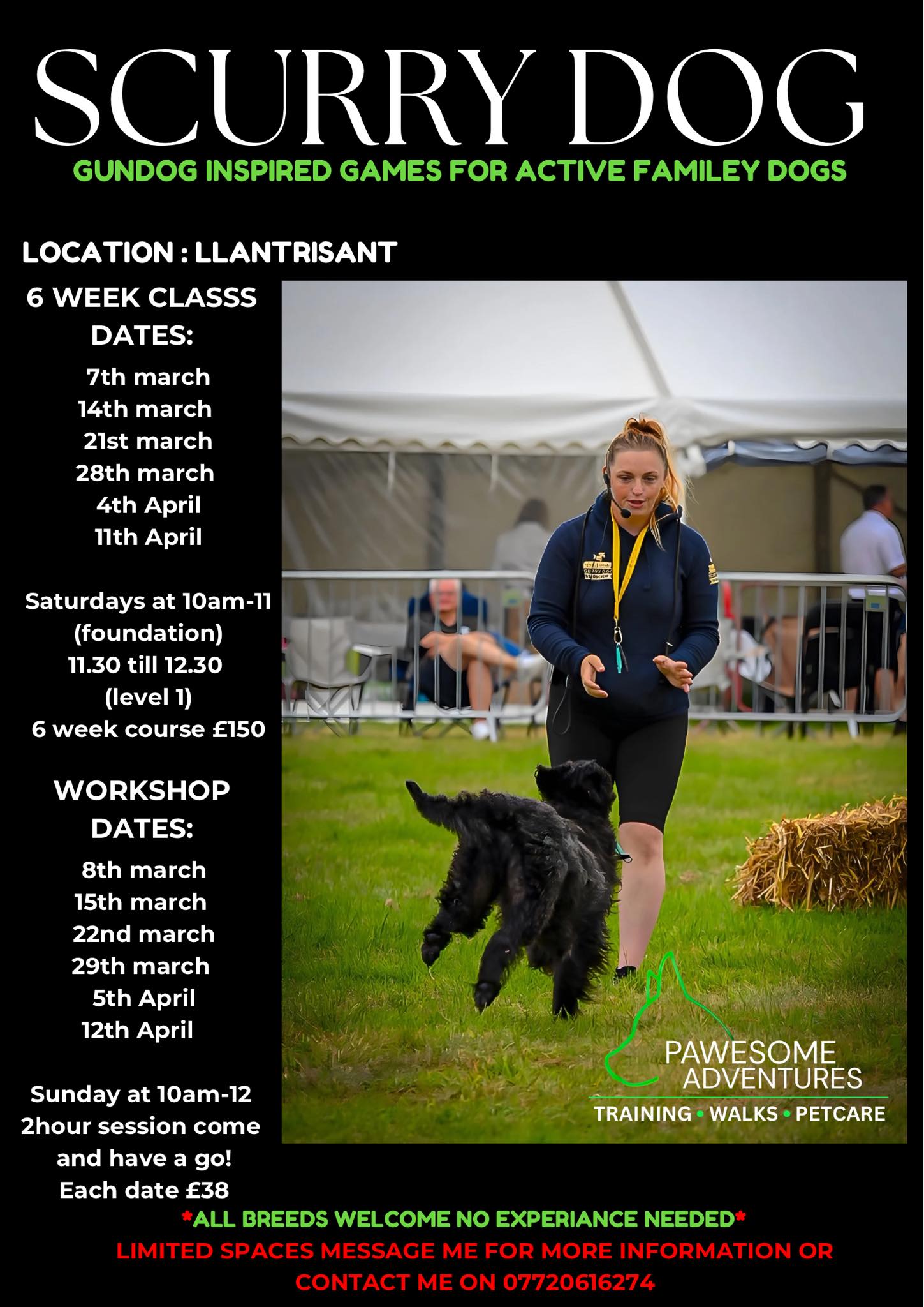 625414173_2099289260790410_2584096561608108510_n