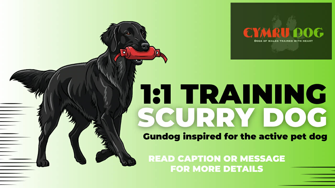 Messenger_creation_C43F537C-667C-4478-921F-B6965CF4C9C3