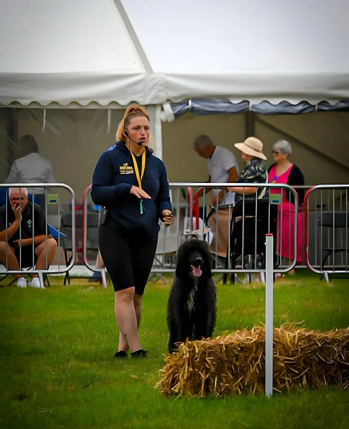 image-2341799712956097