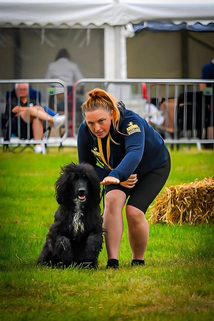 image-25814765151526865