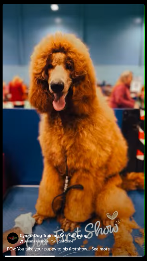 Screenshot 2026-03-06 at 07-38-02 Facebook