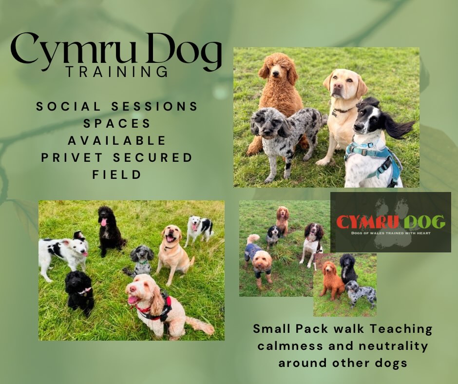 648685241_18111139600782740_1777988078821914372_n