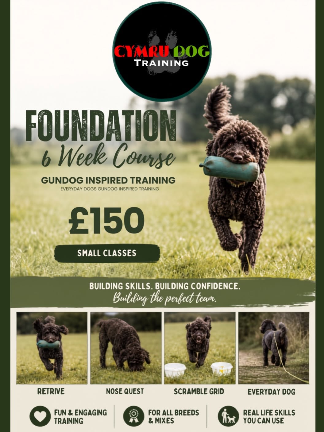 indoor dog training